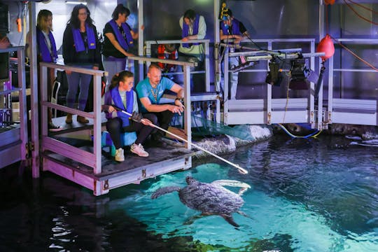 Entradas para SEA LIFE Timmendorfer Strand con visita guiada entre bastidores