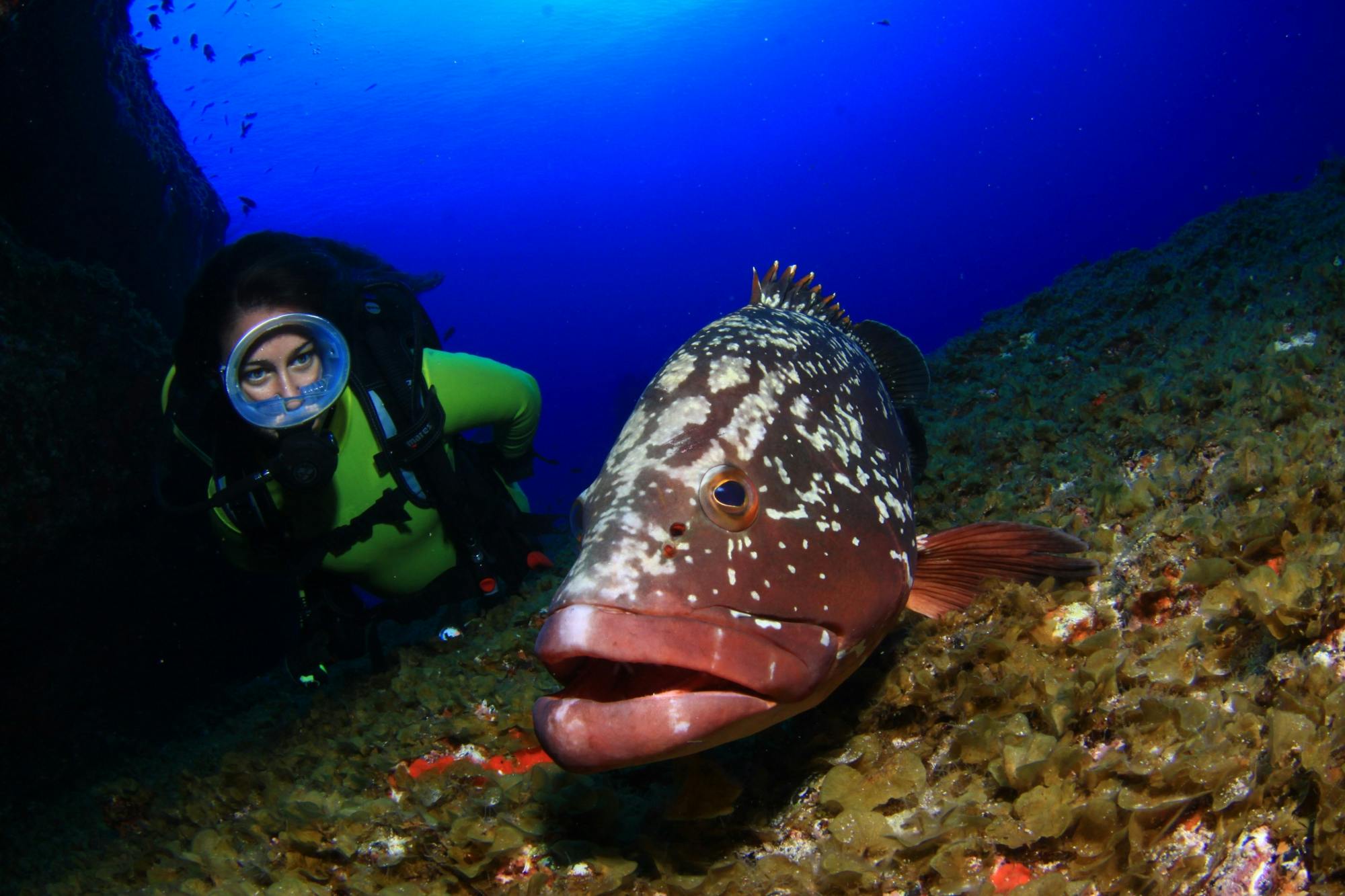 Lanzarote SSI Scuba Diver Certification Course – Scuba Certification Course