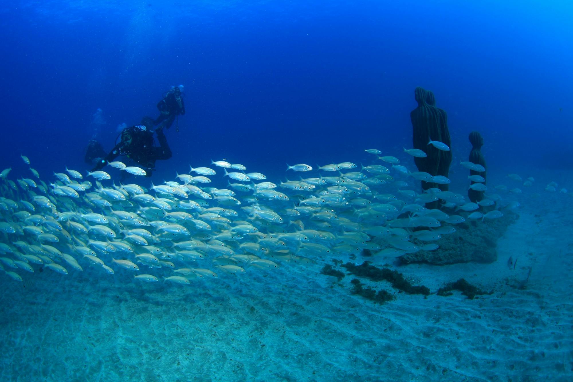 Try Dive and Museo Atlántico