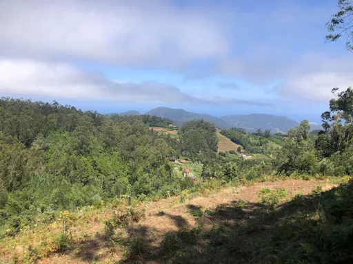 Levada Serra Do Faial guided hike