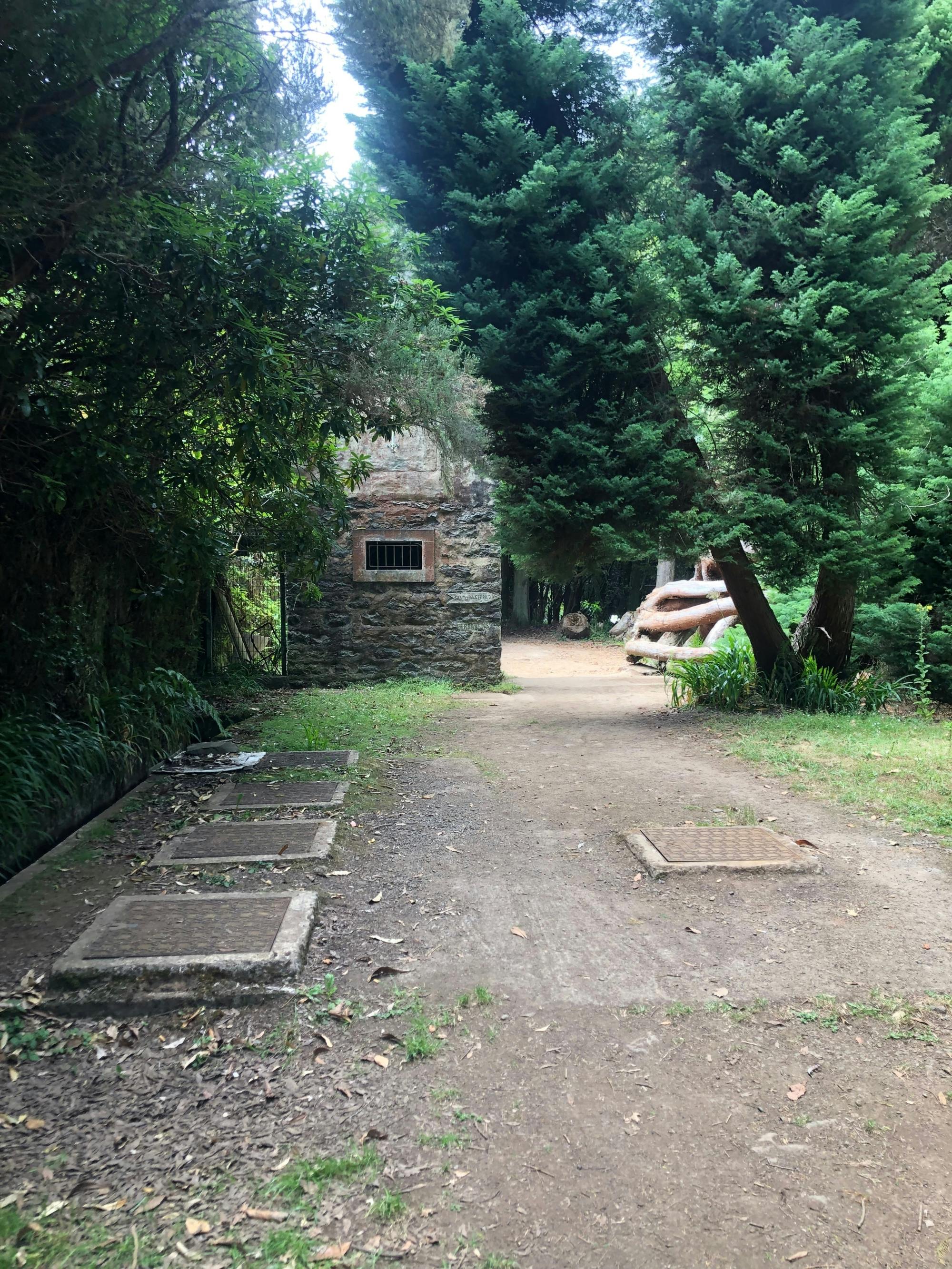 Levada Serra Do Faial guided hike