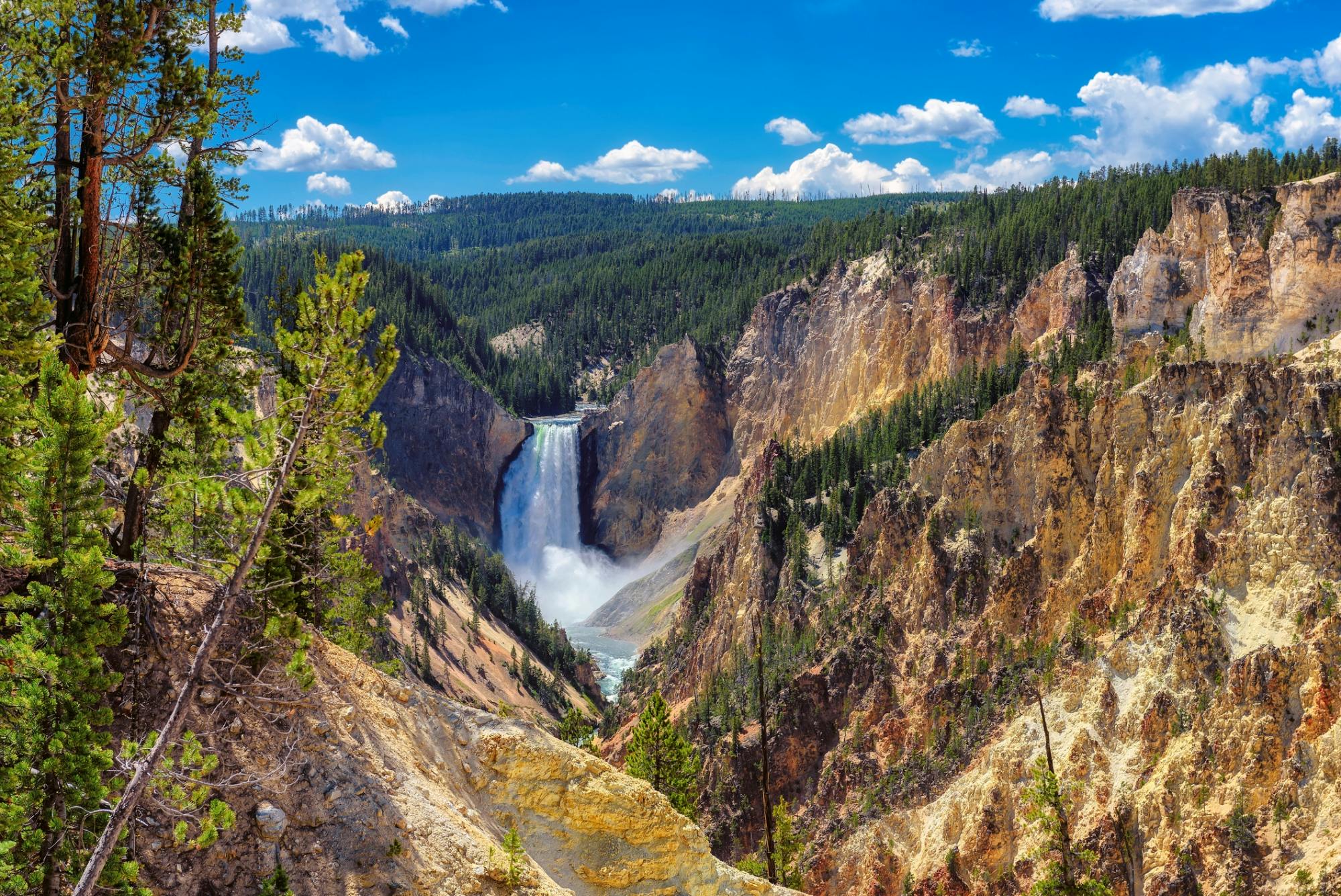 Excursão de um dia inteiro ao Yellowstone Lower Loop