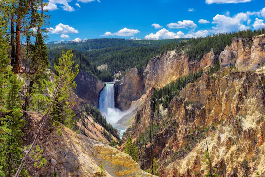 Yellowstone Lower Loop full-day tour