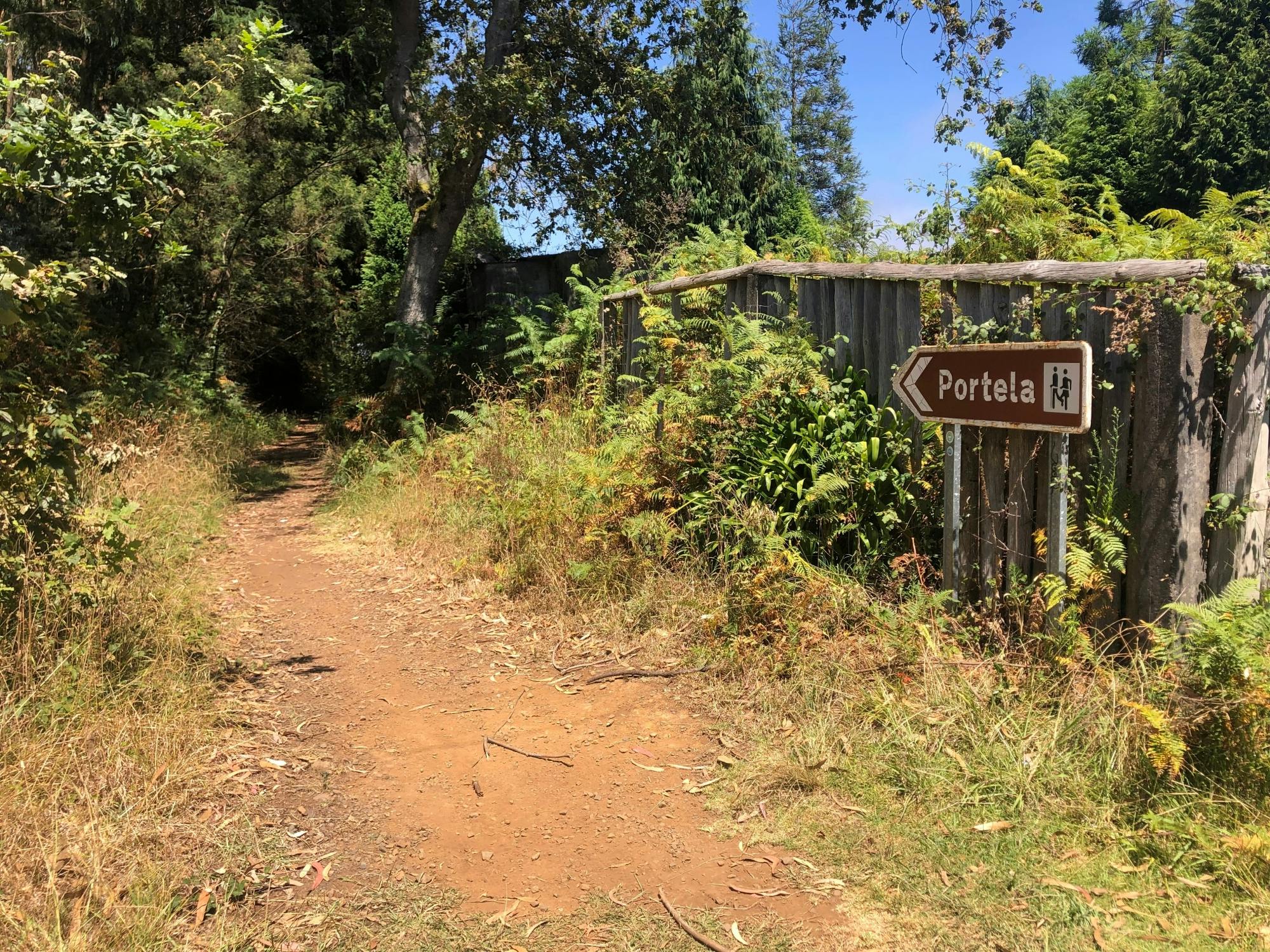 Levada Serra Do Faial guided hike