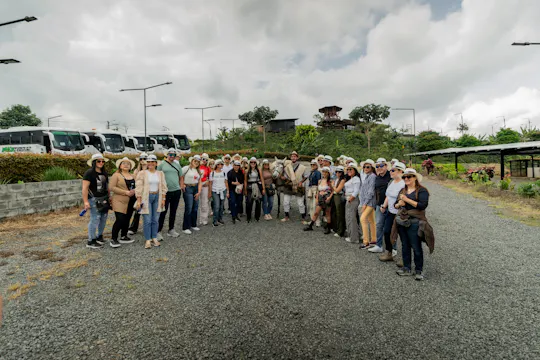 Half-day private coffee experience in Santa Rosa de Cabal
