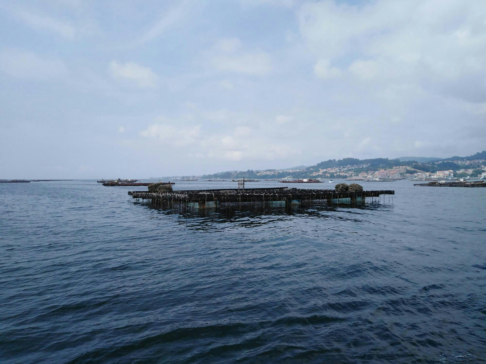 Katamaran-Tour durch die Vigo-Mündung mit Muschelverkostung und Wein