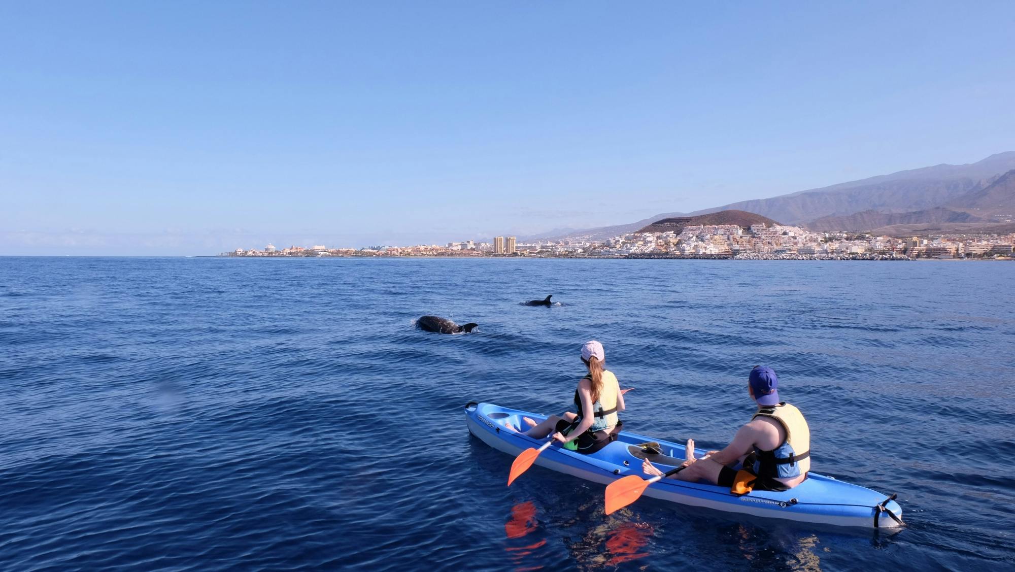 Tenerife kayak and snorkelling tour
