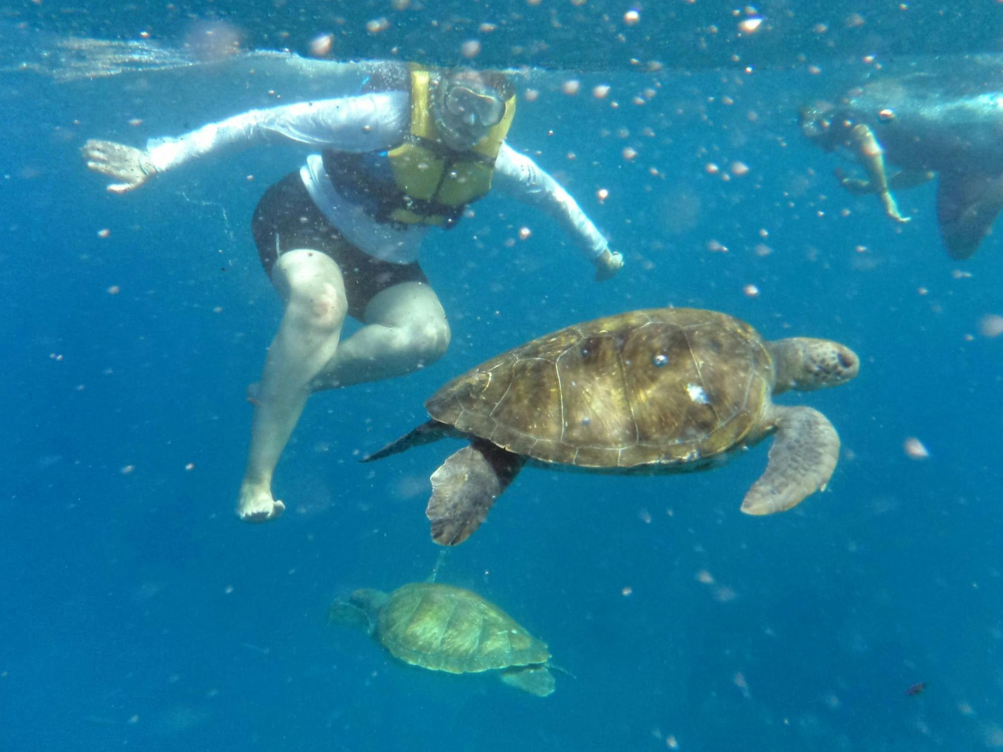 Tenerife kayak and snorkelling tour