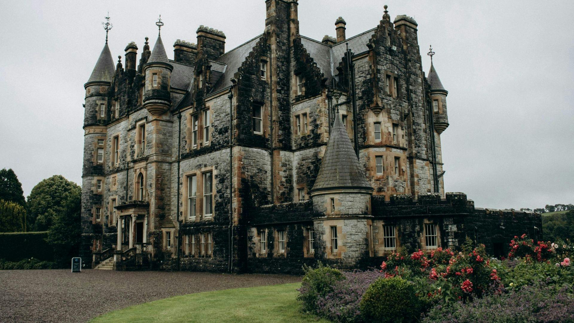 202607236a62a453397a6.jpg