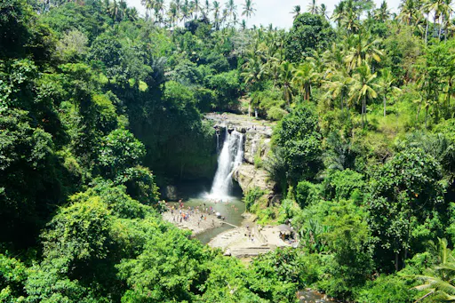 Surface of Ubud private full-day tour