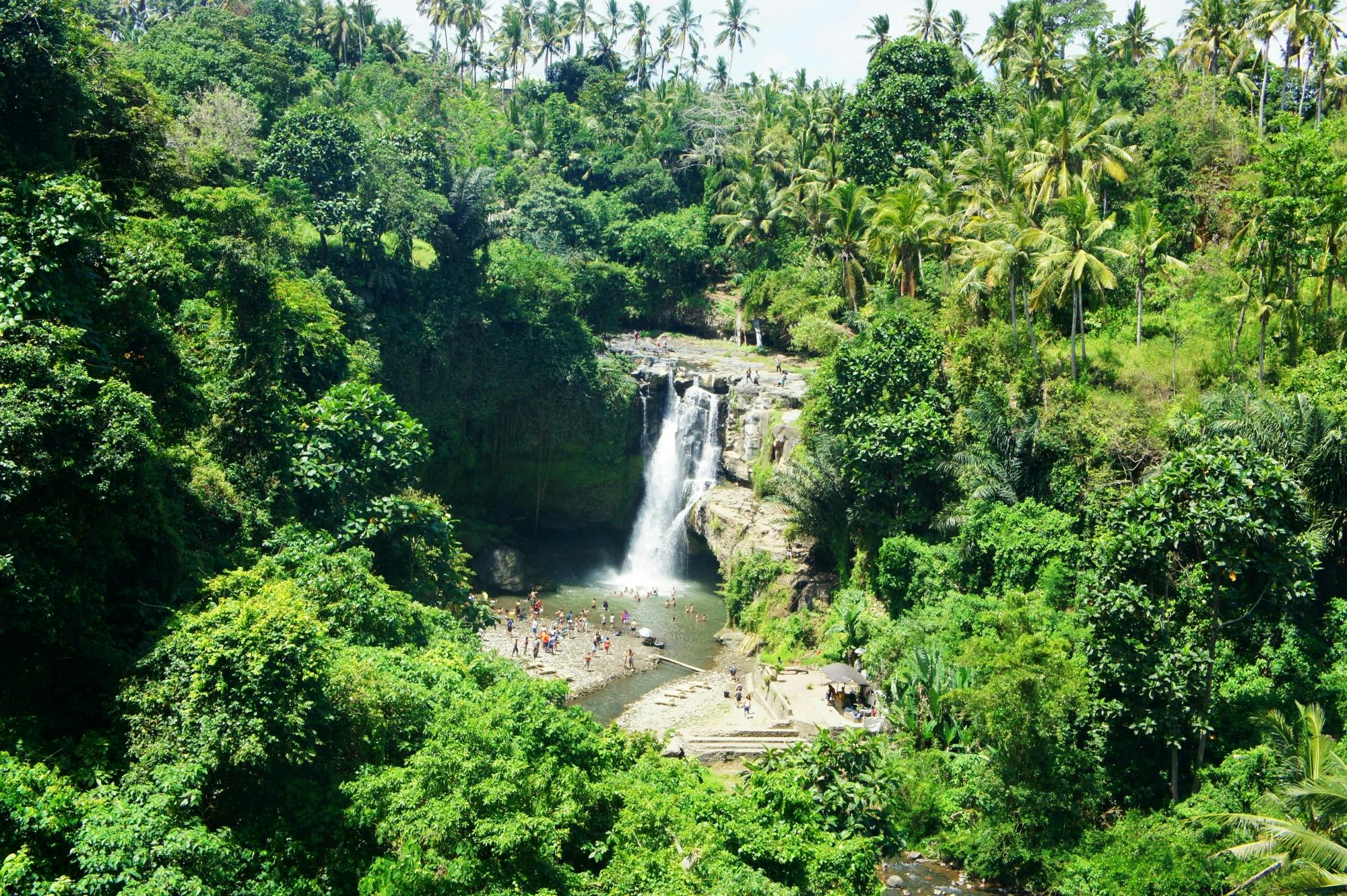 Surface of Ubud private full-day tour