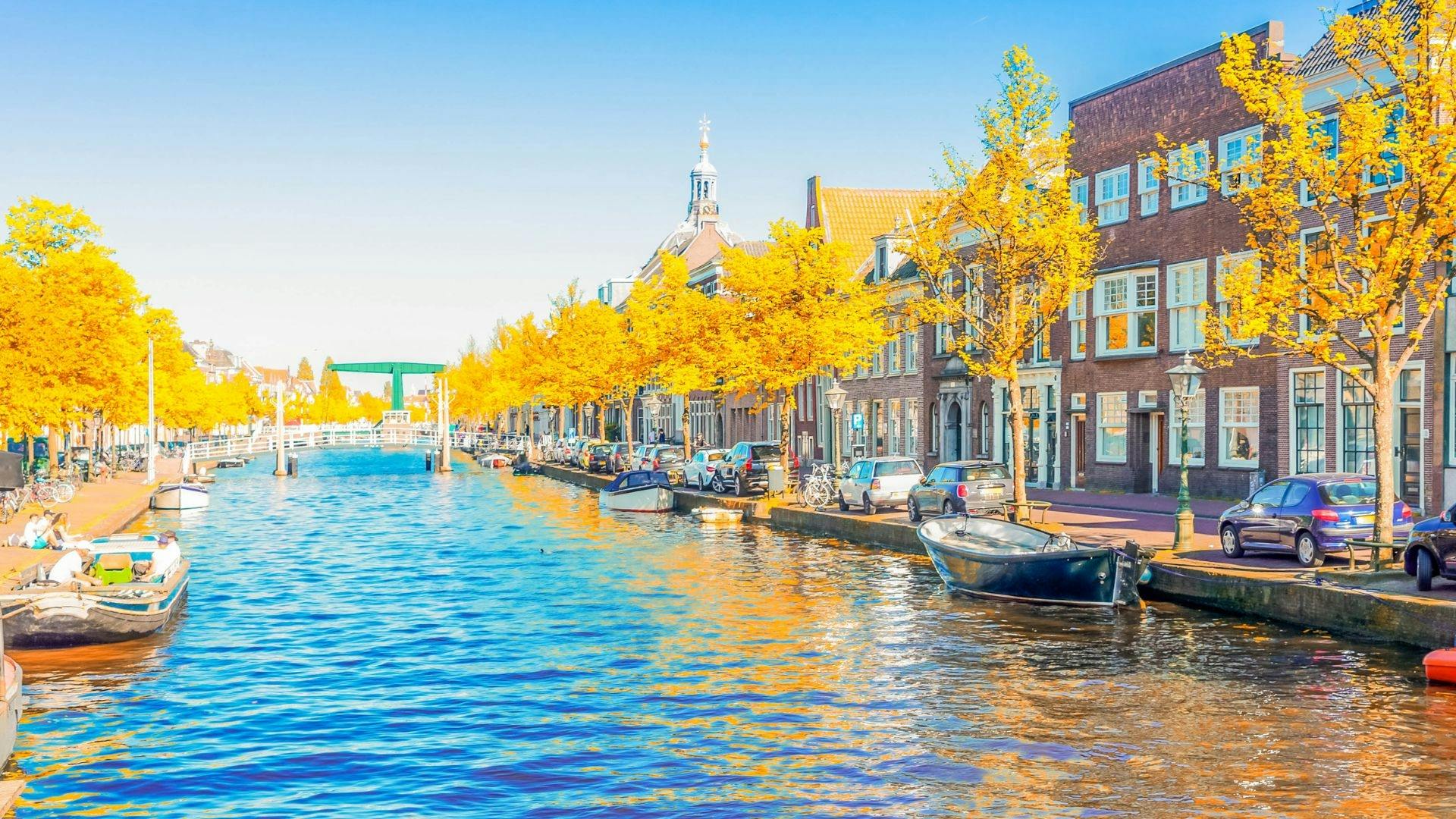 Leiden walking tour with a local