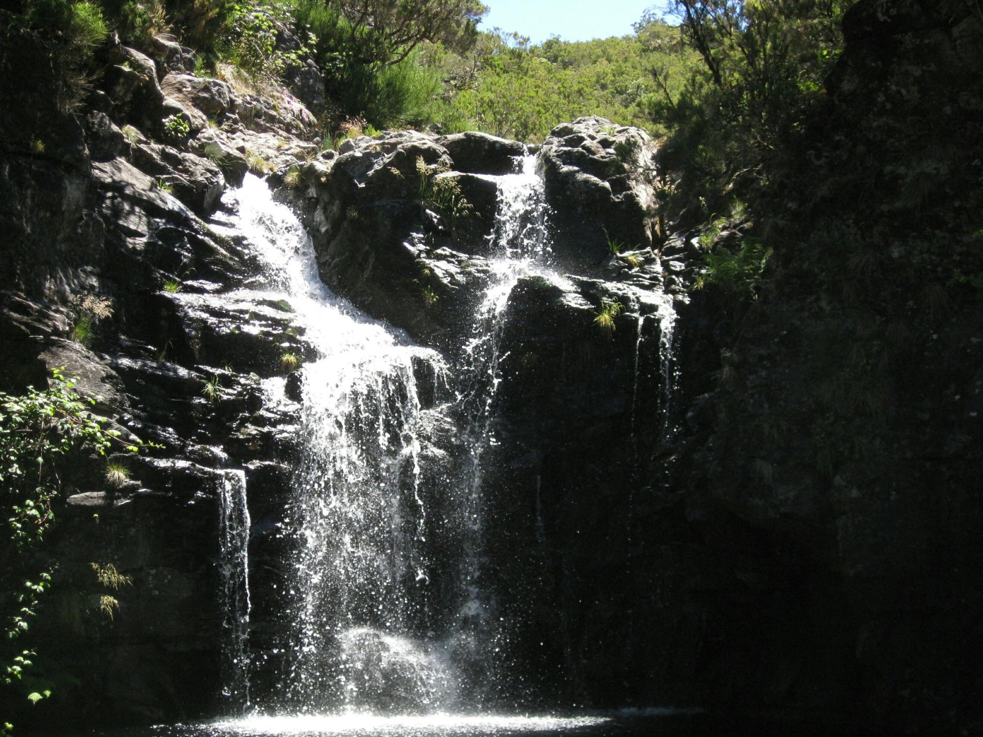 Levada do Alecrim walk
