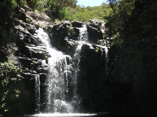 Levada do Alecrim walk
