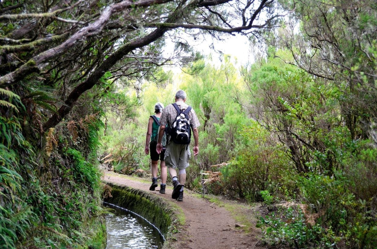 Levada do Alecrim walk