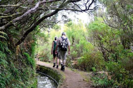 Levada do Alecrim walk