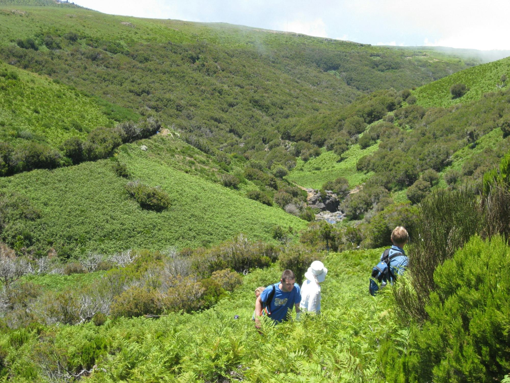 Levada do Alecrim walk