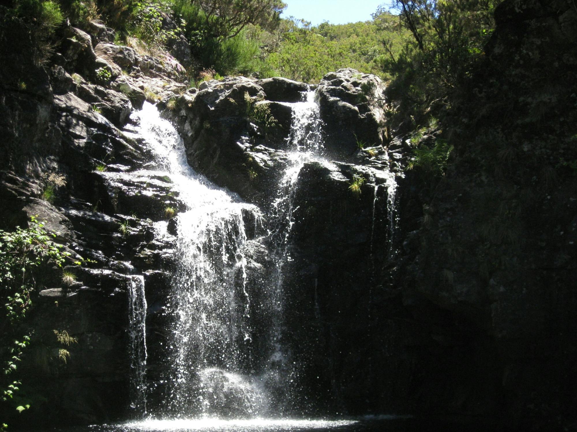 Levada do Alecrim walk
