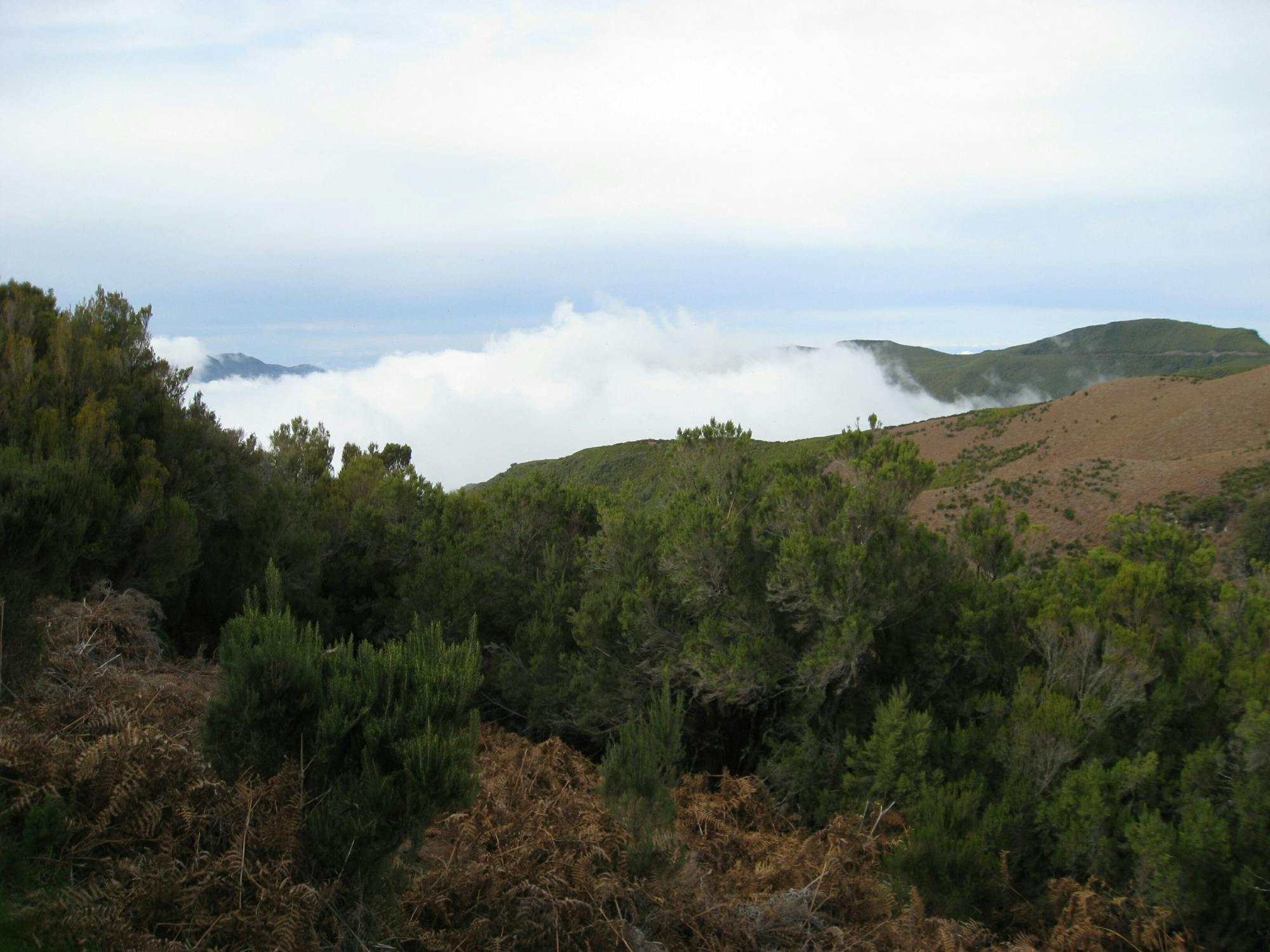 Levada do Alecrim walk