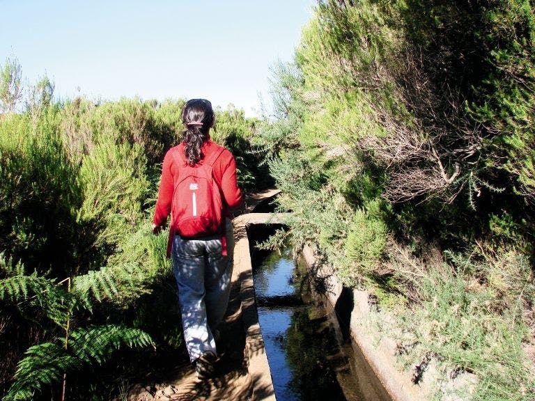 Levada do Alecrim walk