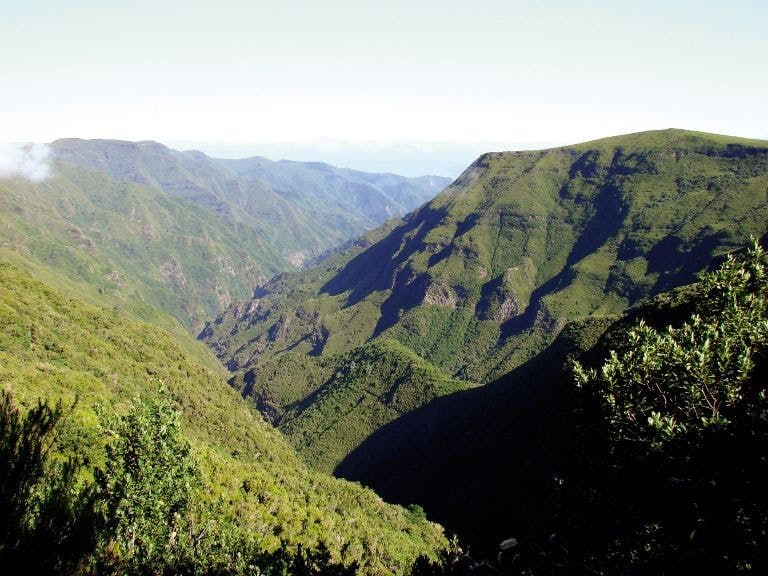 Levada do Alecrim walk