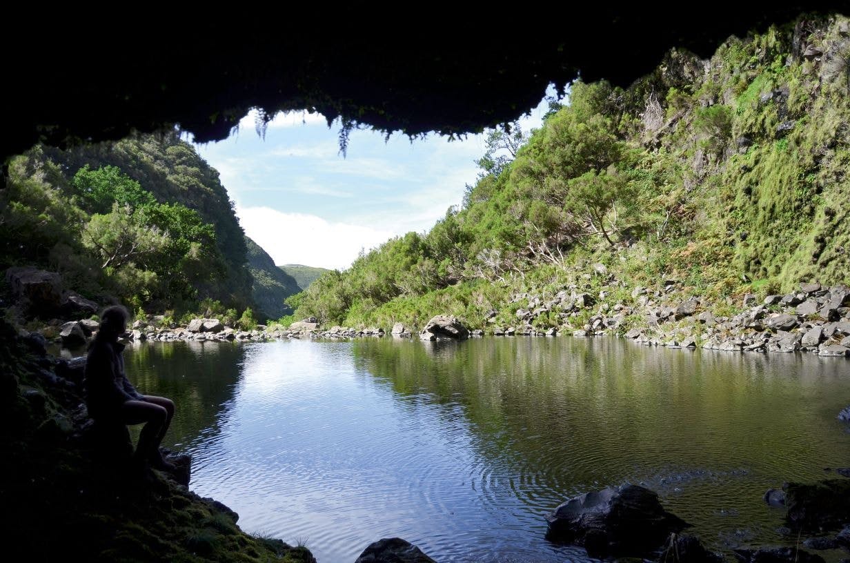 Levada do Alecrim walk