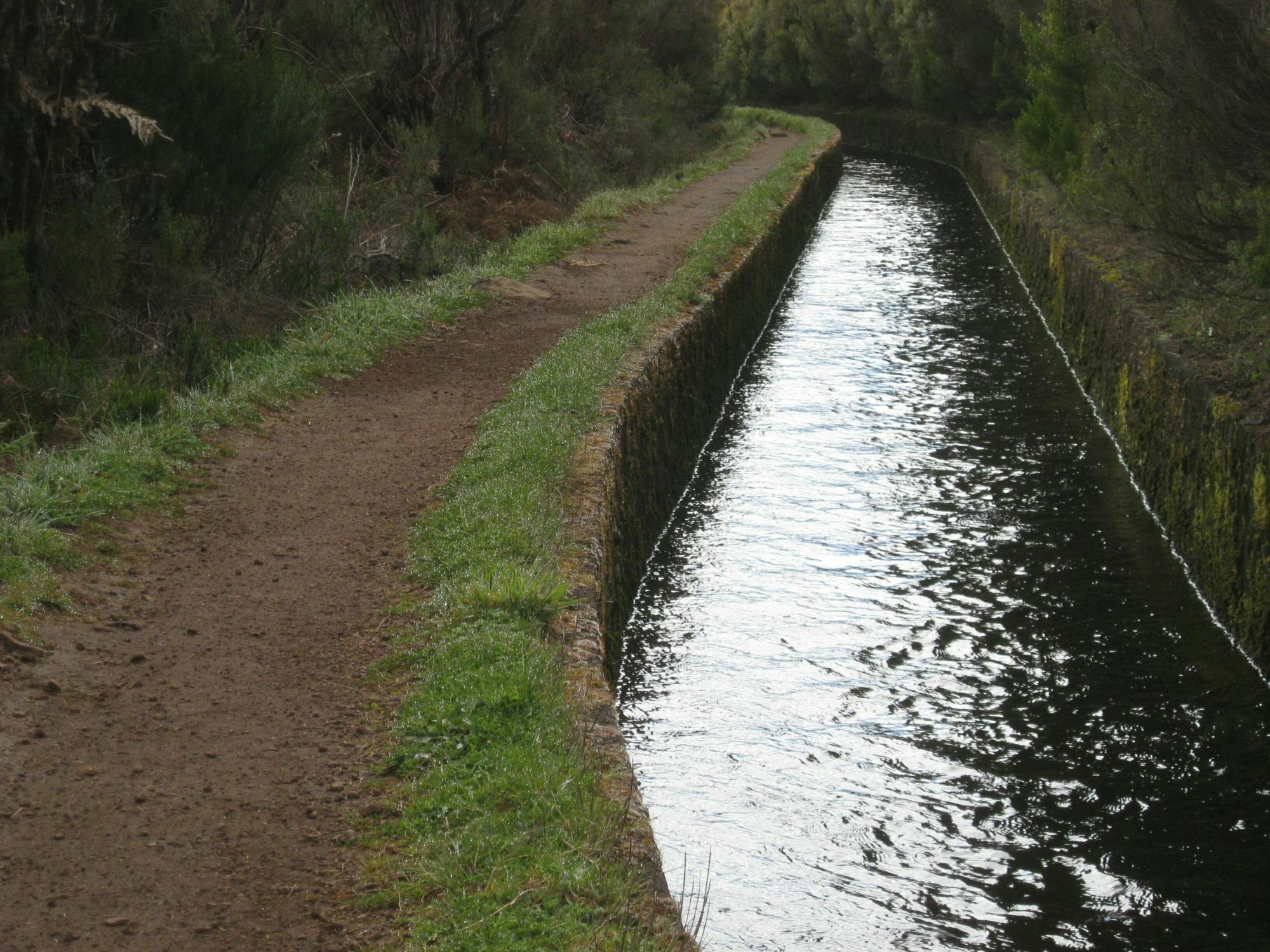 Levada do Alecrim walk