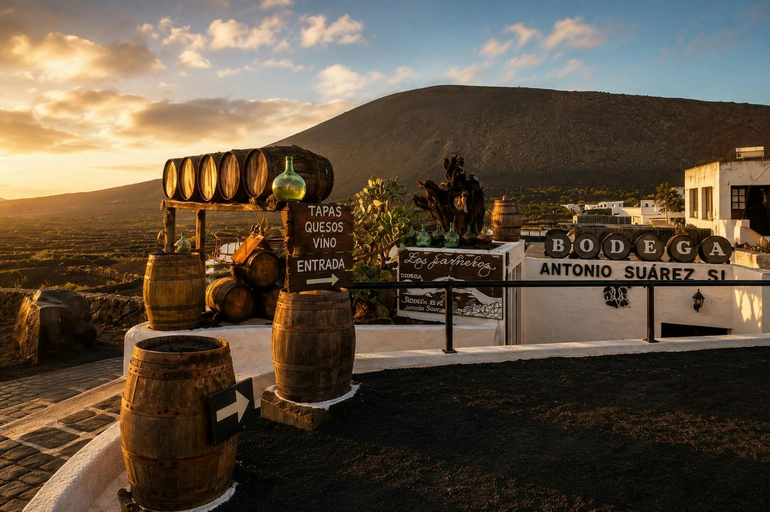 Evening wine-tasting and Lagomar Museum tour in Lanzarote