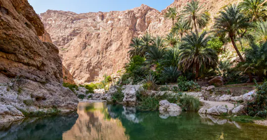 Visita guidata a Wadi As Shab e alla dolina di Bimmah con pranzo incluso