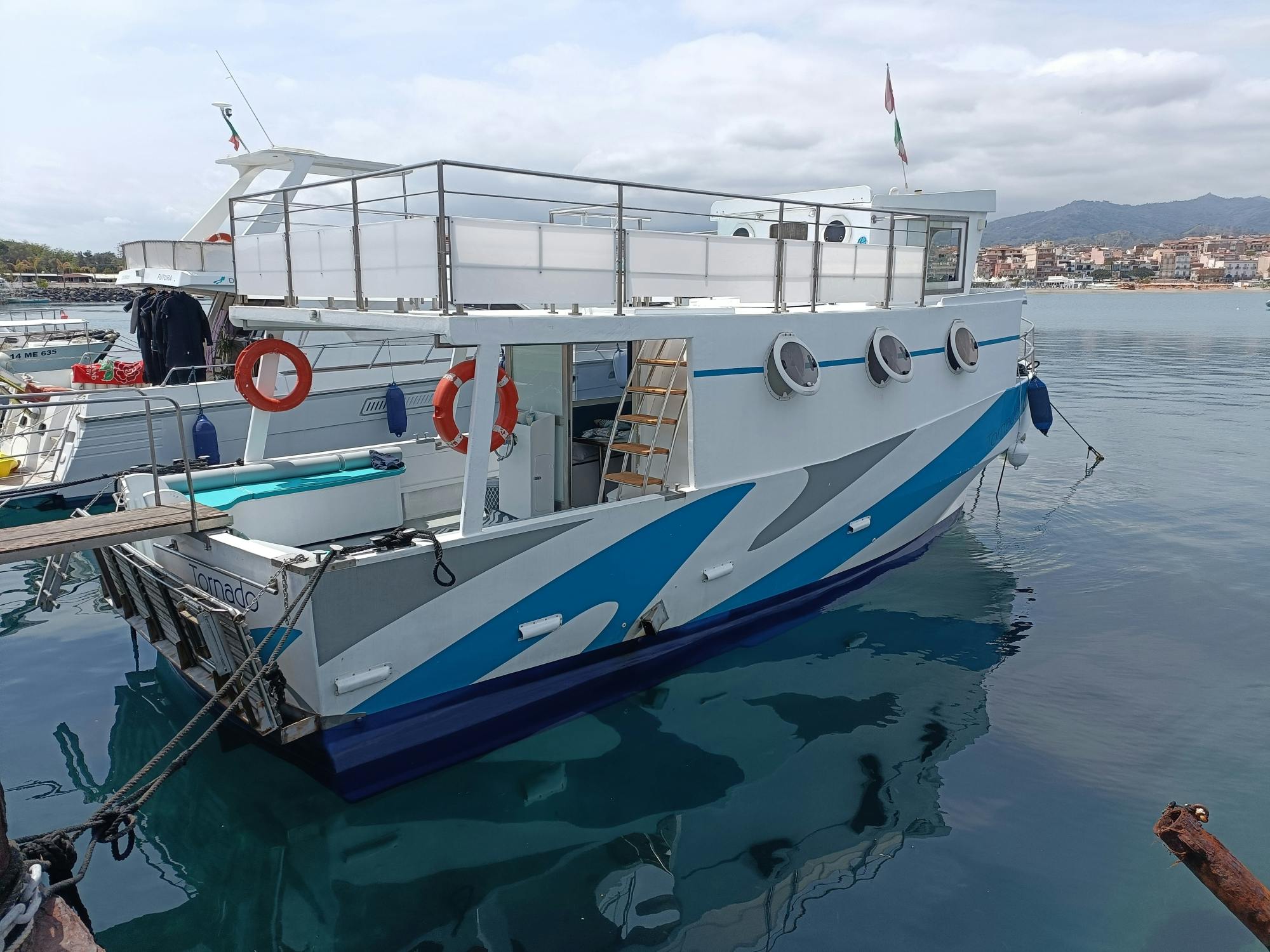 Dolphin-watching sunset cruise with aperitif