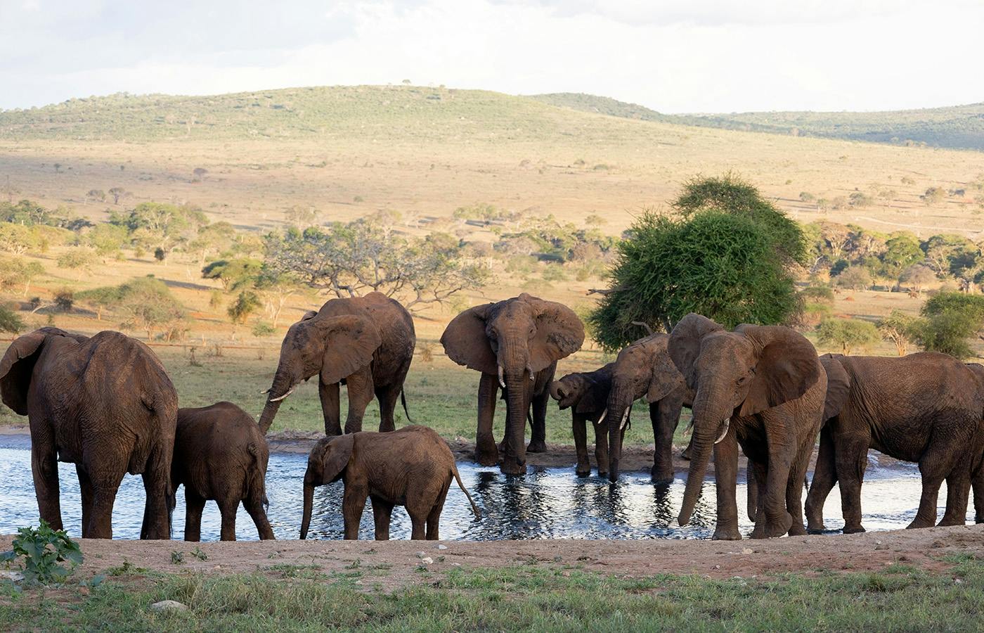 202607286a68b1d7a0c51.jpg