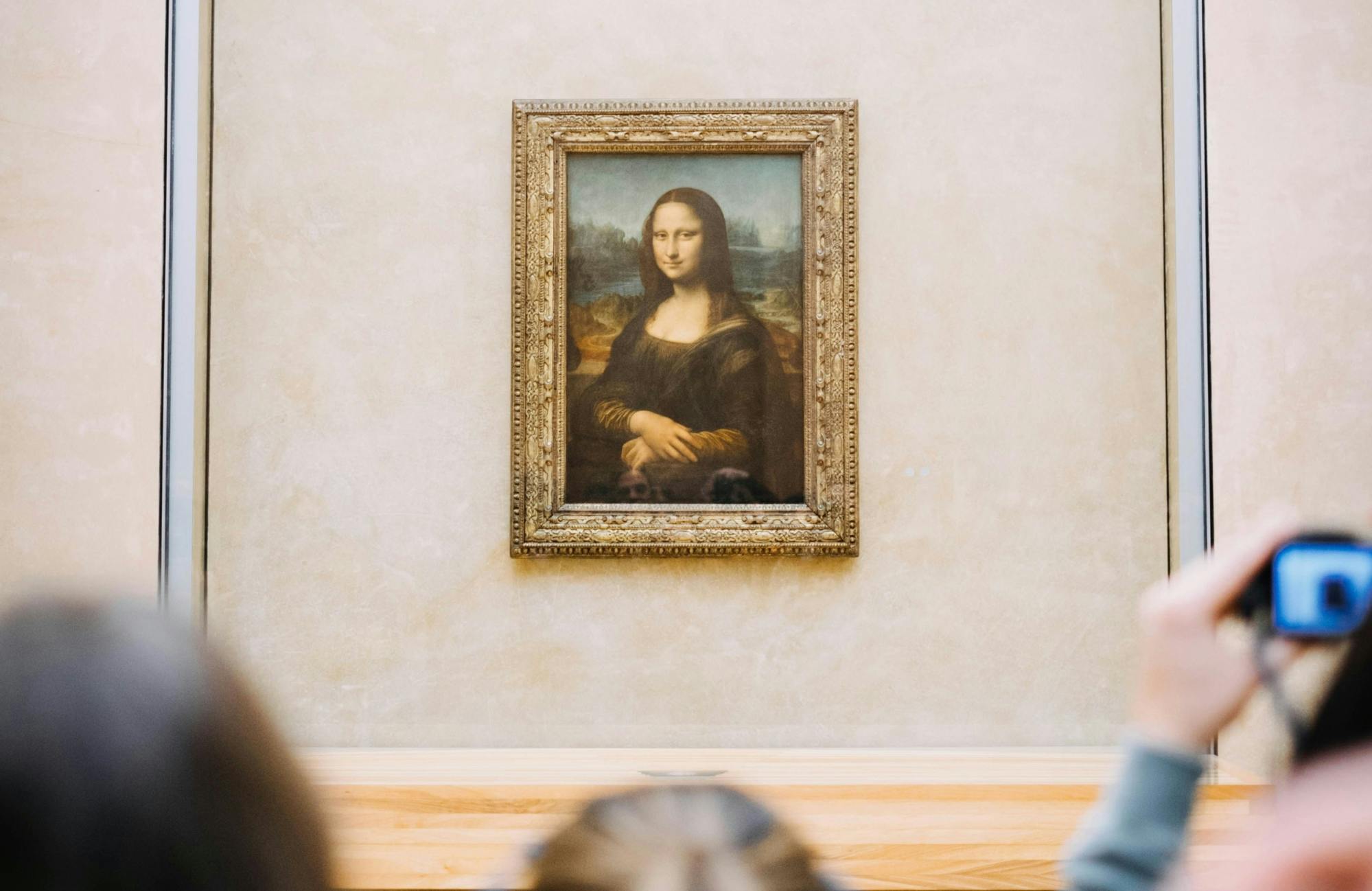 Louvre-Führung mit bevorzugtem Eintritt und Audioguide