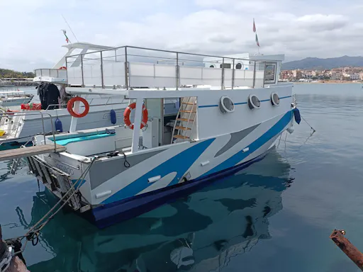 Dolphin-watching sunset cruise with aperitif