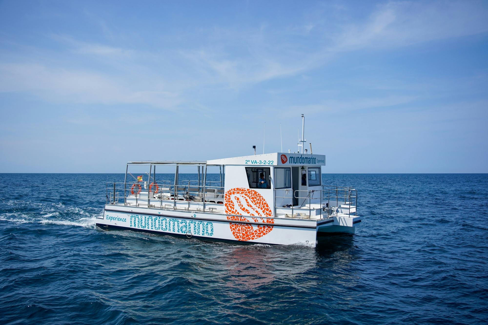 Boat trip with lunch and swimming stop
