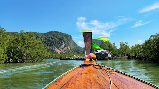 Half-Day Thung Yee Peng's mangrove kayaking tour with lunch