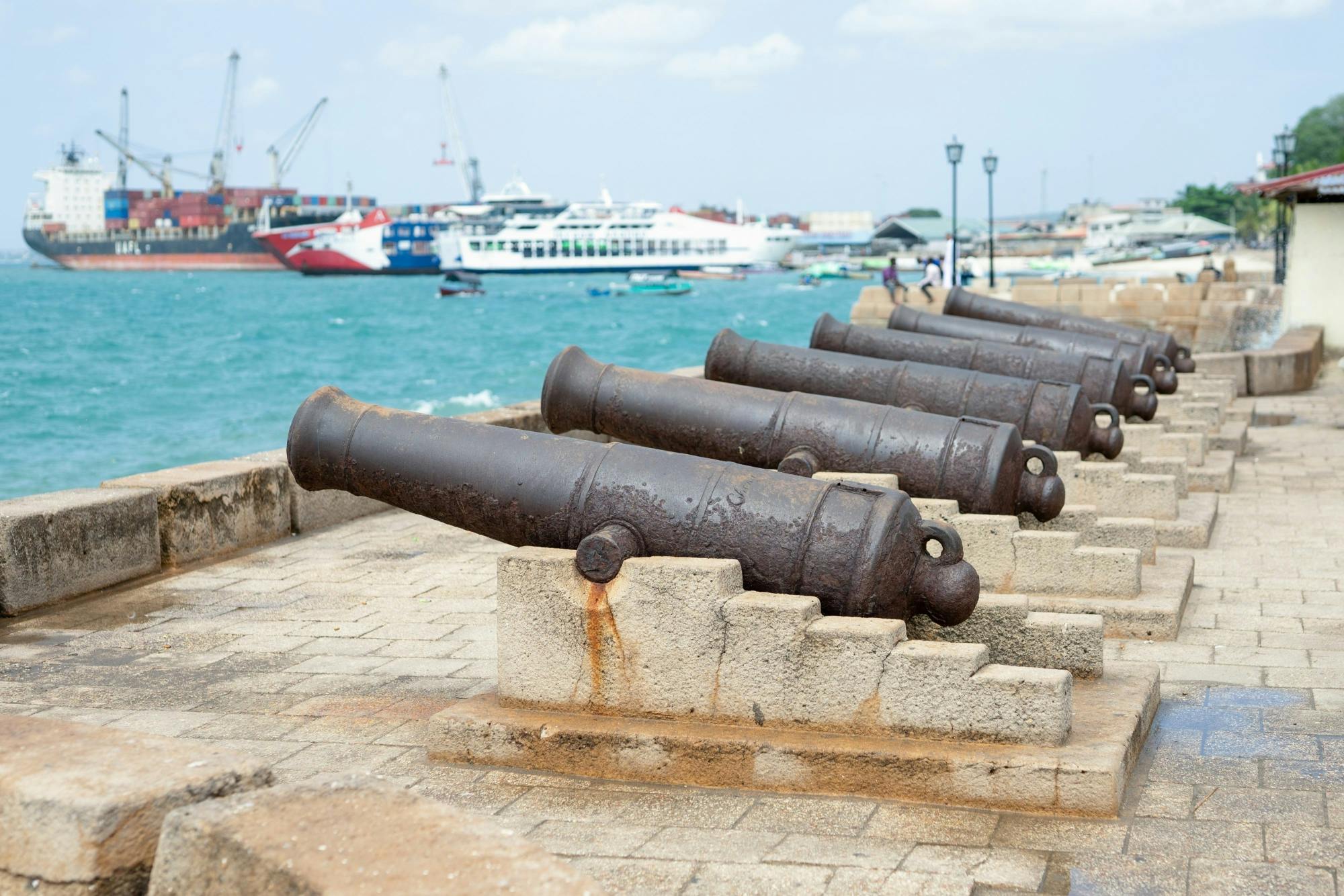 Ville historique de Stone Town à Zanzibar et balade dans la forêt de Masingini