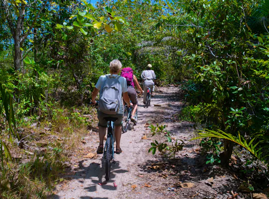 Excursion d'une journée à vélo et à pied dans la forêt de Masingini, à Zanzibar