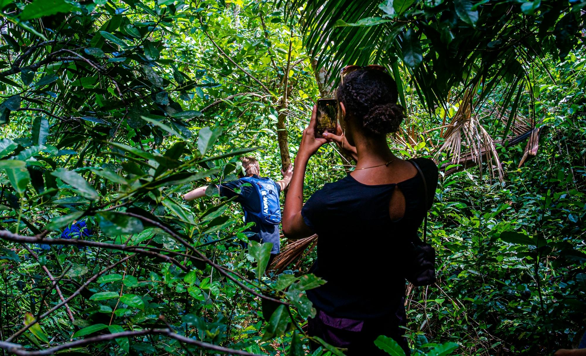 Zanzibar Masingini Forest full-day biking and walking tour