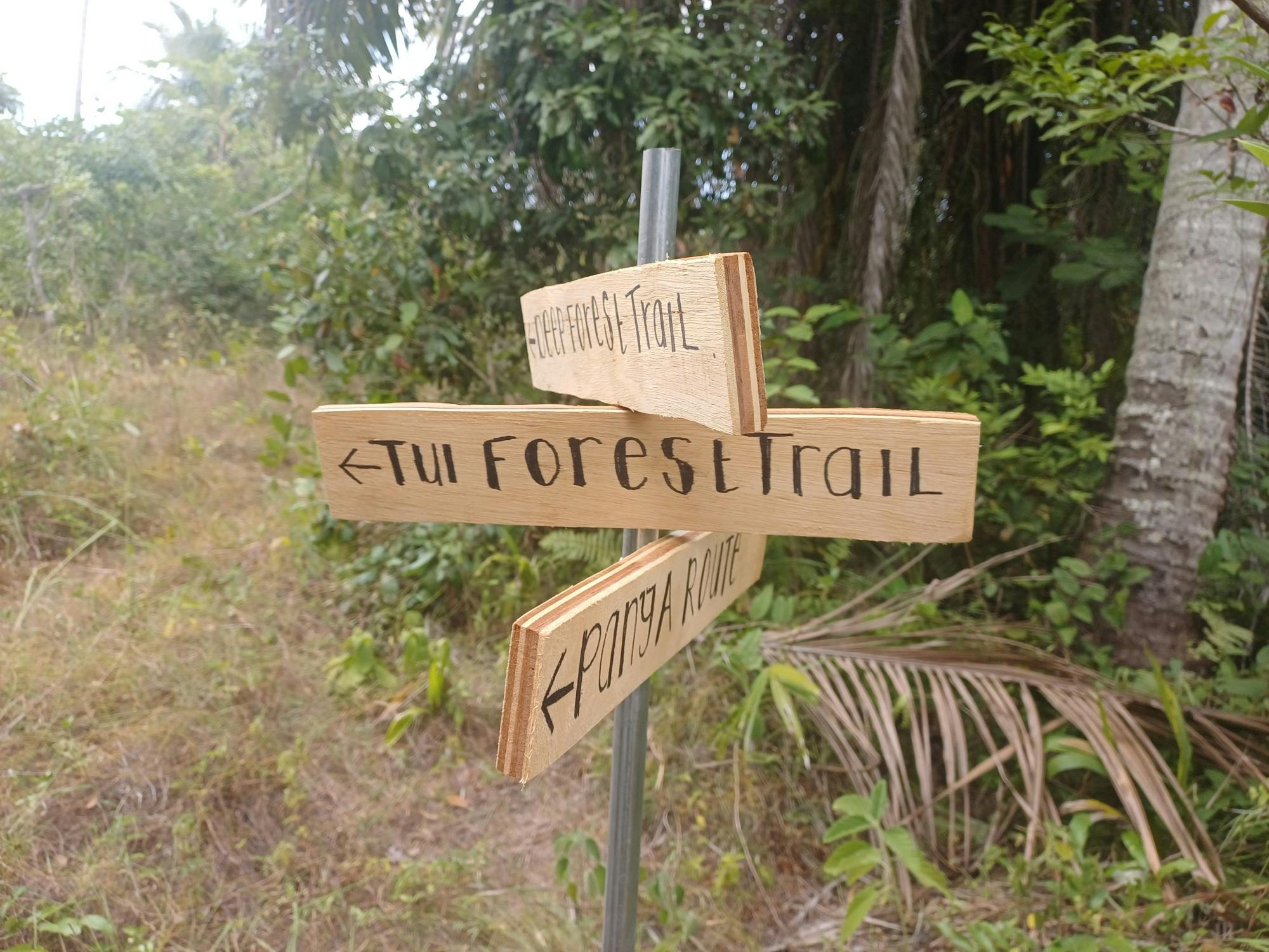 Zanzibar historic stone town and Masingini Forest walk private tour