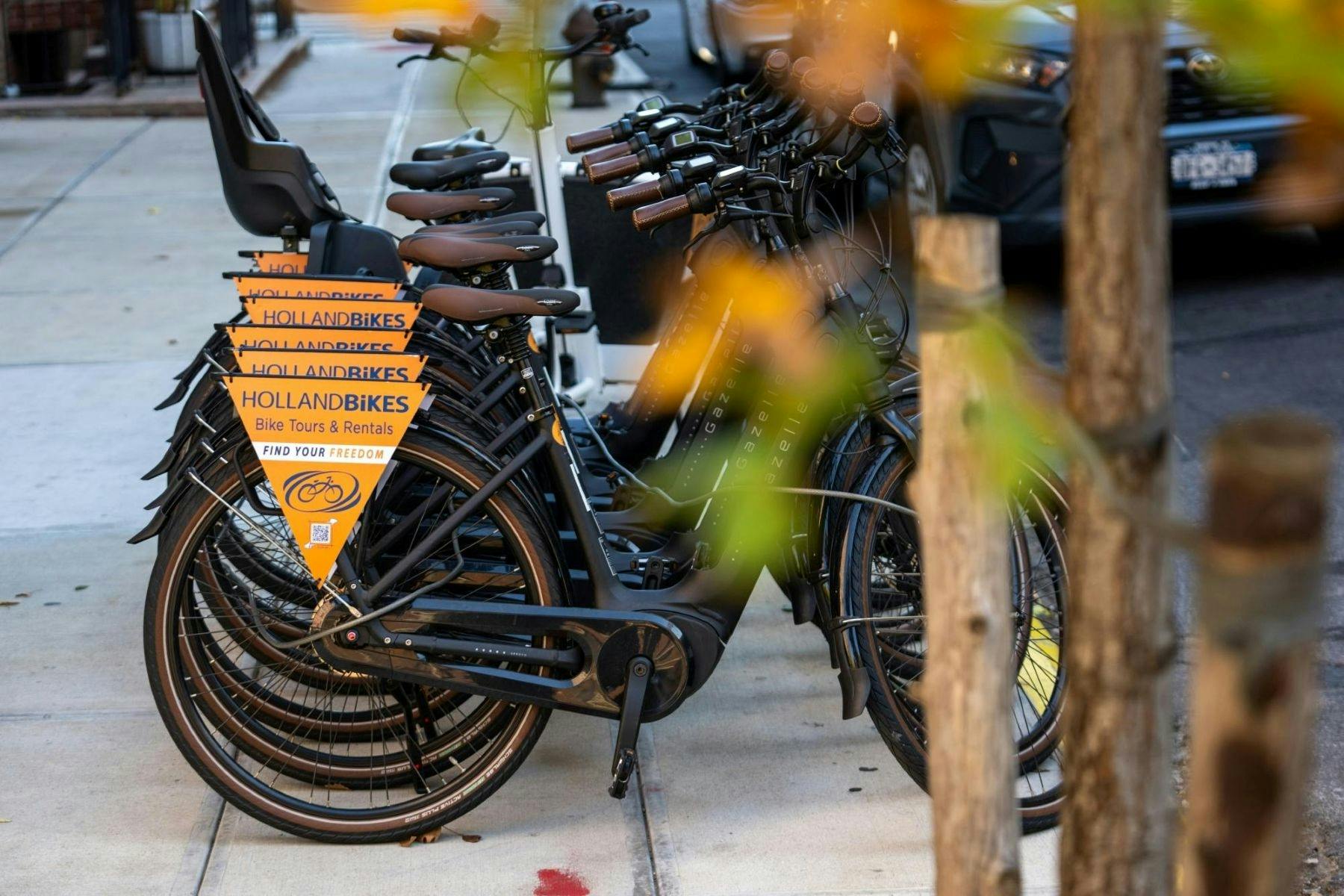 Central Park electric Dutch bike rental experience