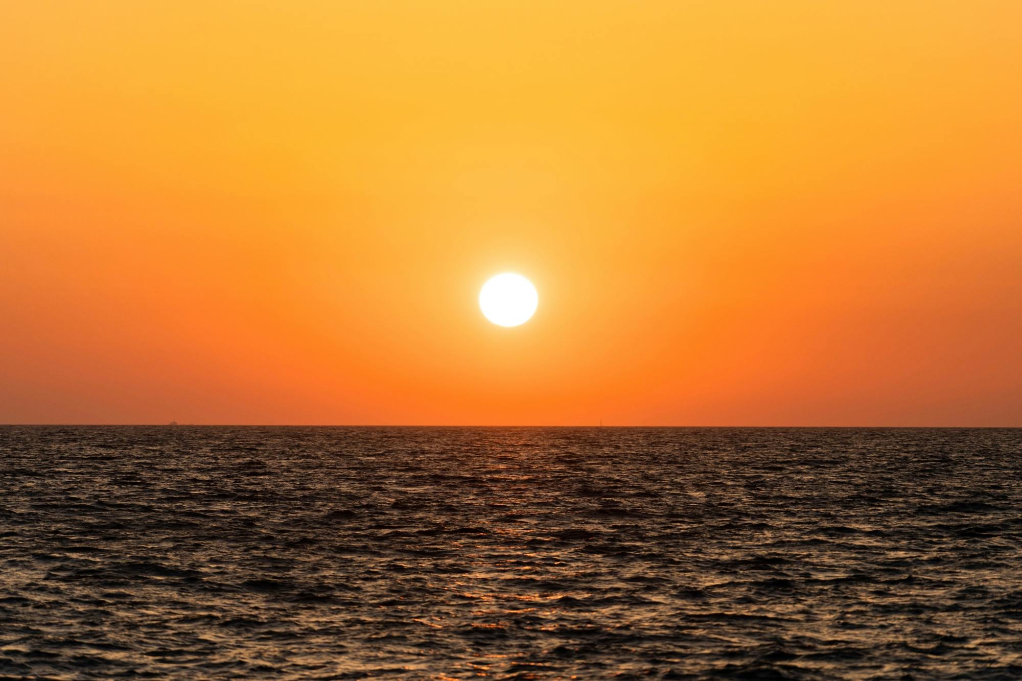 Excursion en bateau réservée aux adultes pour observer l'éclipse solaire à Majorque, organisée par Oceana