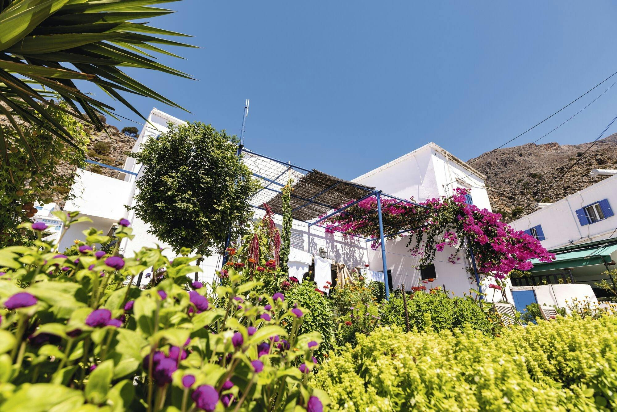 Full-day tour of Loutro Village with a typical Cretan lunch