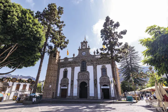 Romeria del Pino celebration in Teror with transport