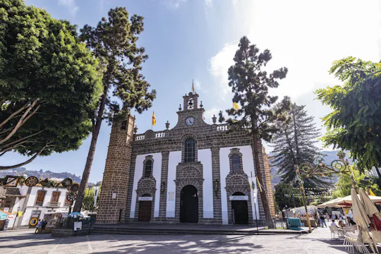 Celebración de la Romería del Pino en Teror con servicio de transporte