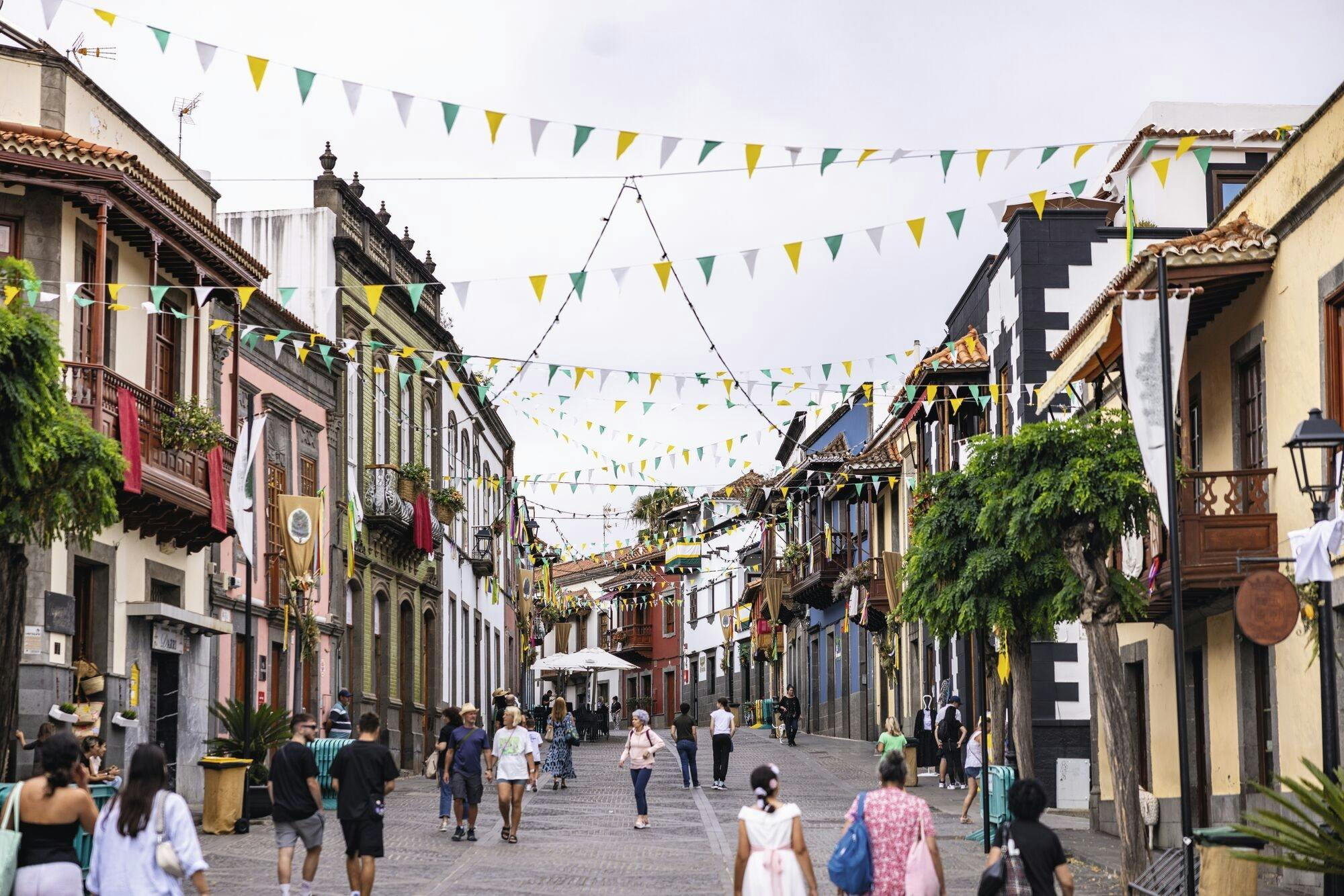 Romeria del Pino celebration in Teror with transport