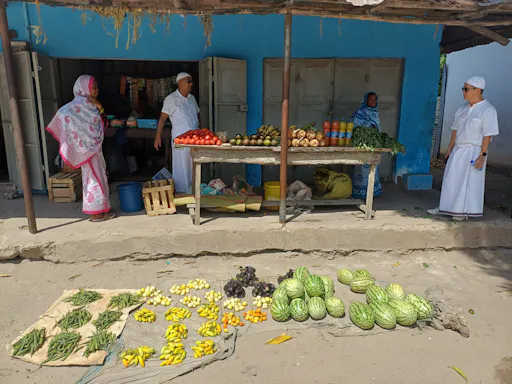 Local life and home cooking tour with the Zanzibari Mamas