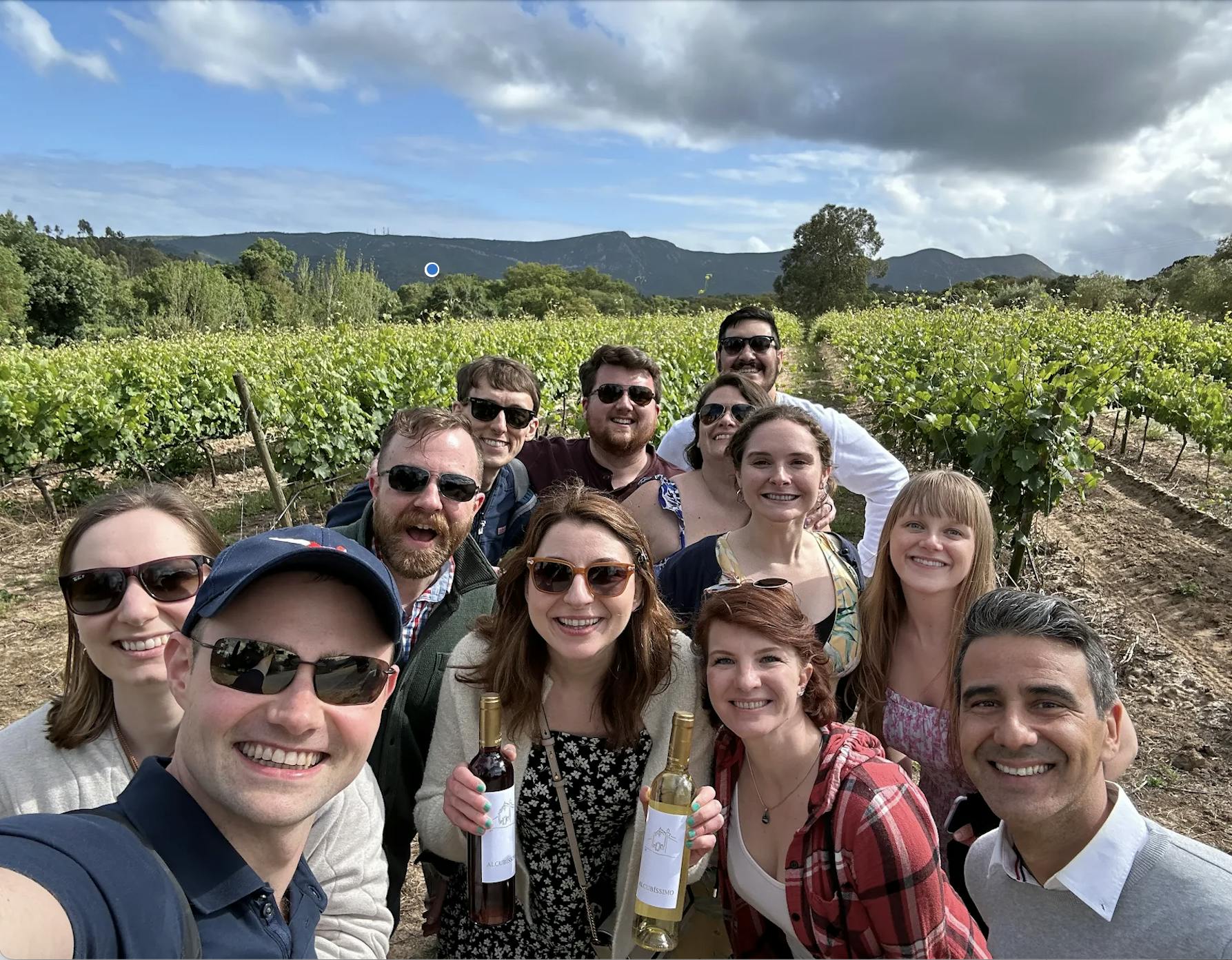 Visita guiada aos vinhos da Arrábida em pequenos grupos a partir de Lisboa