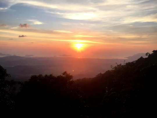 Langkawi rainforest guided tour after dark