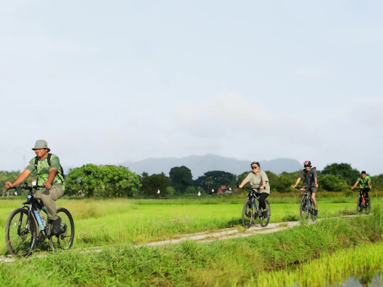 Countryside biking guided tour in Langkawi