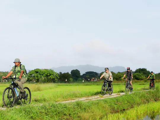 Tour guidato in bicicletta nella campagna di Langkawi